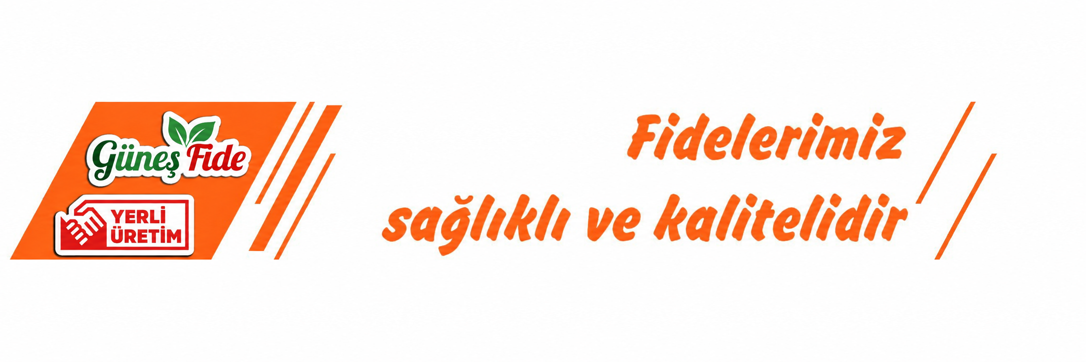 toptan sebze fidesi