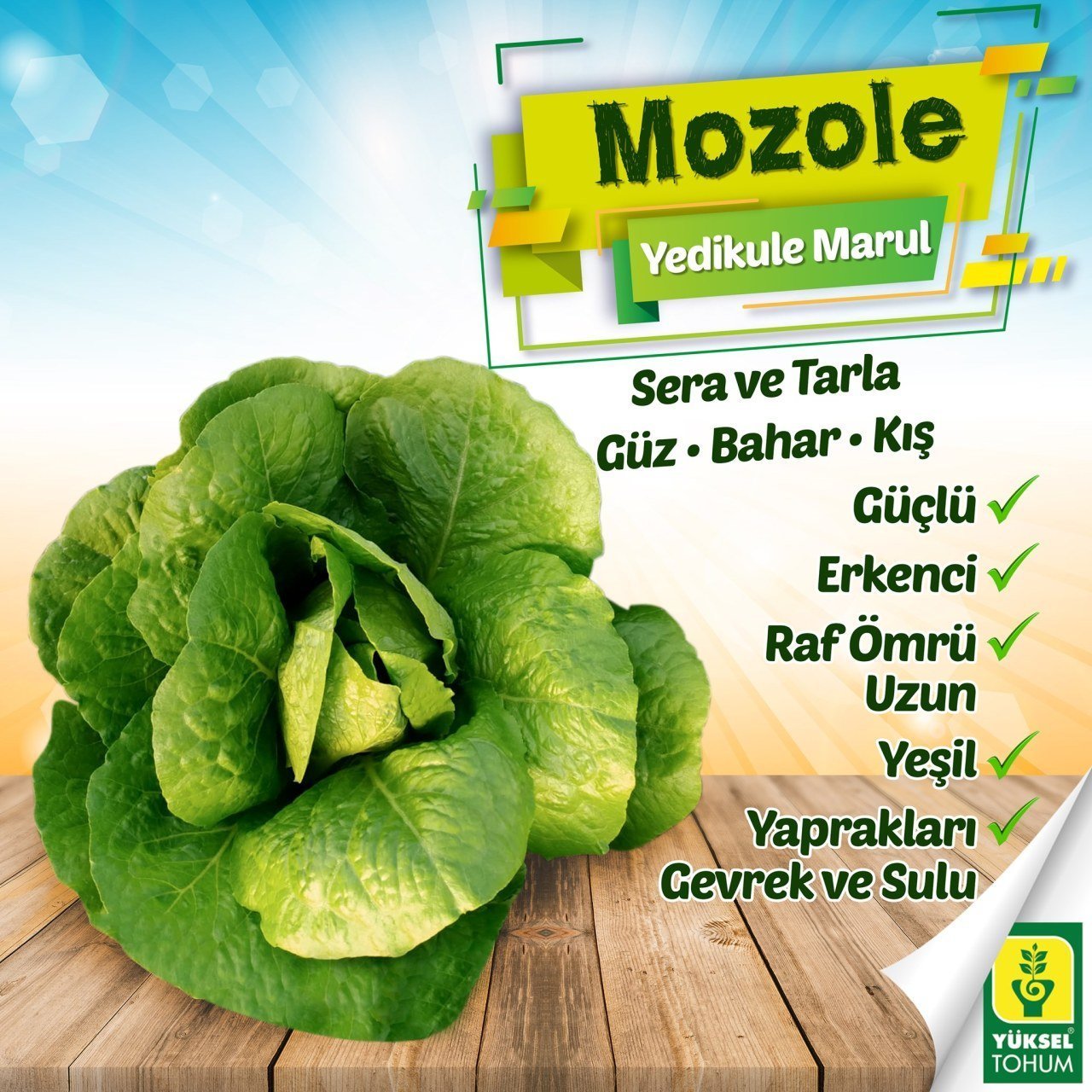 Mozole Yedikule Marul Fidesi