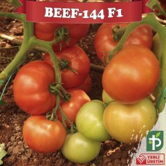 F1 Beef-144 Beef Domates Fidesi