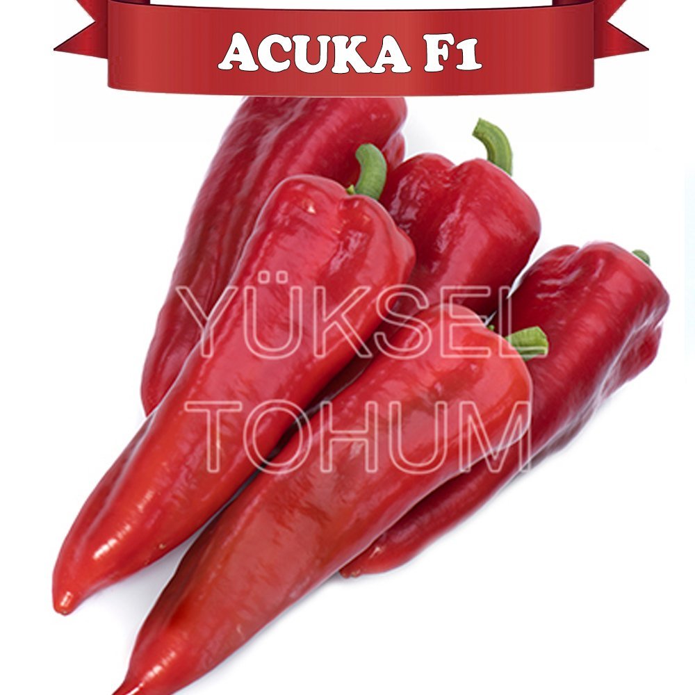 F1 Acuka Acı Kapya Biber Fidesi