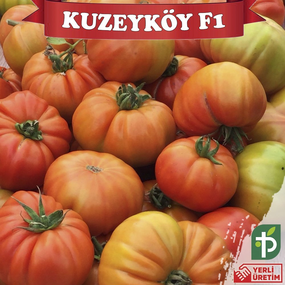 F1 Kuzeyköy Yarı Sırık Domates Fidesi