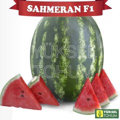 F1 Şahmaran Crimson Karpuz Fidesi