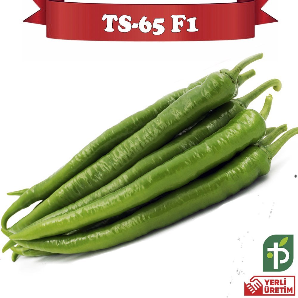 F1 TS-65 Tatlı Sivri Biber Fidesi
