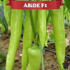F1 Abide Carliston Biber Fidesi