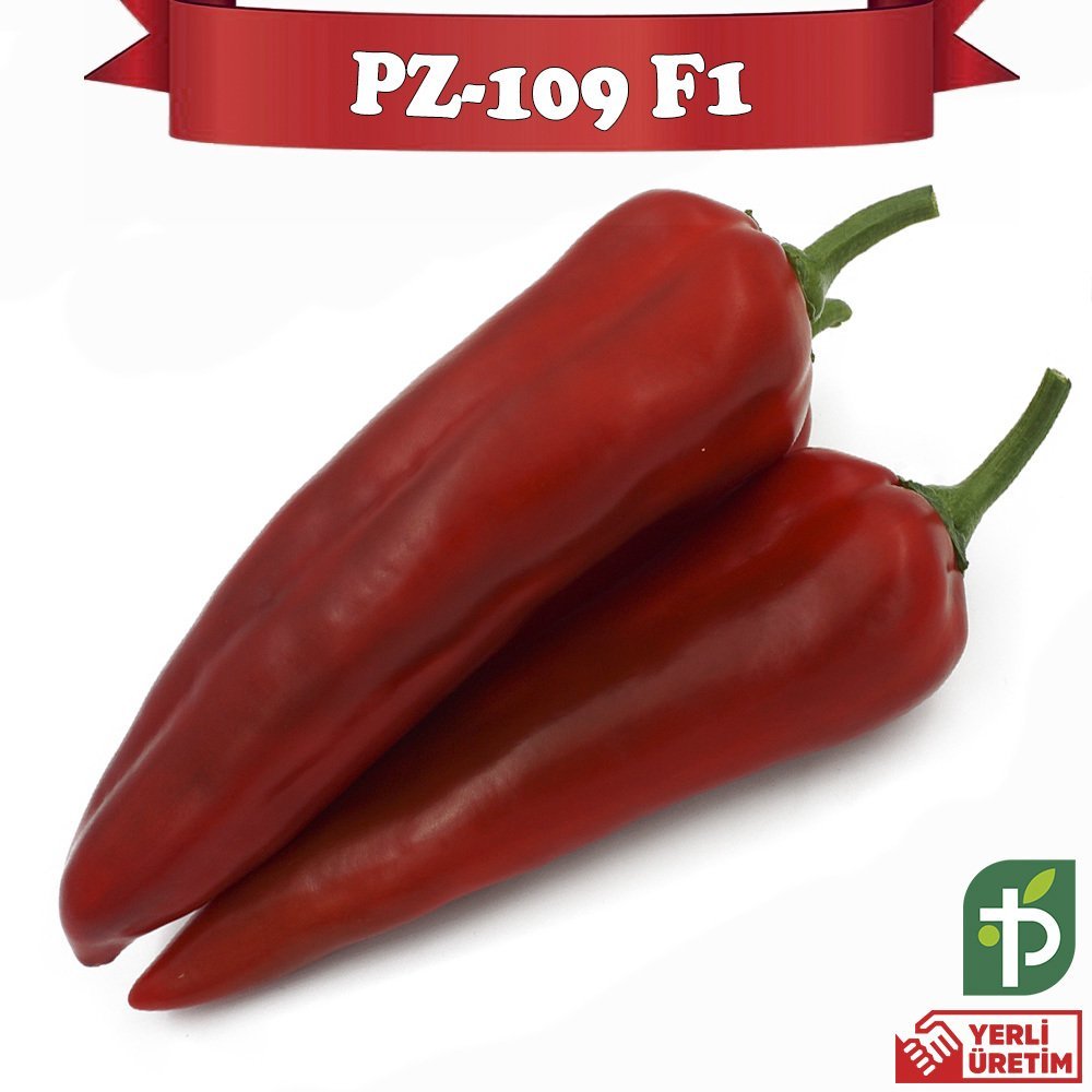 F1 PZ-109 Acı Kapya Biber Fidesi